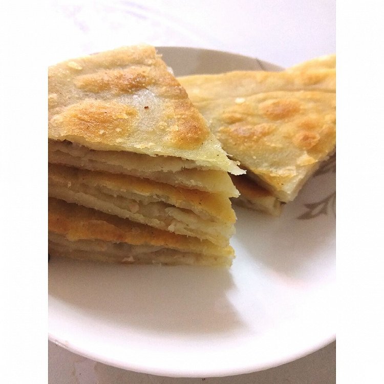 素做法：用心护理宠物，共享温馨时光