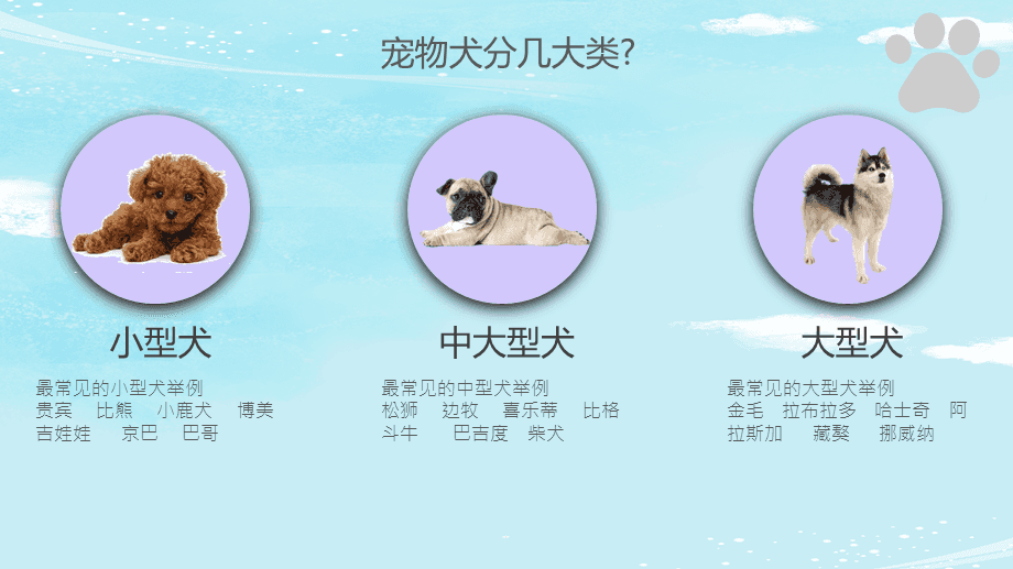 抱完猫咪要洗手吗？——宠物护理中的小细节