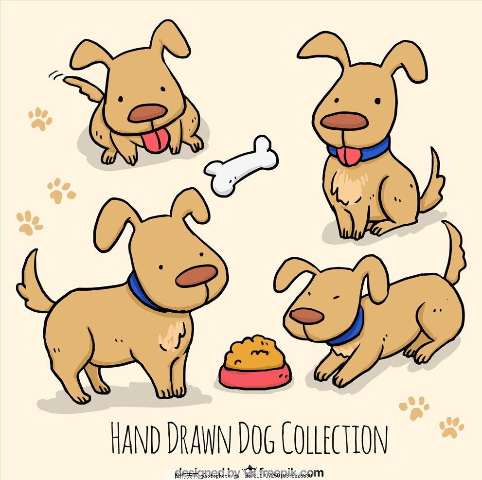 与狗狗做事：构建深厚的人宠情感纽带