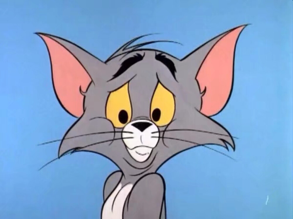 狗狗寻找网站——宠物护理人员的秘密武器